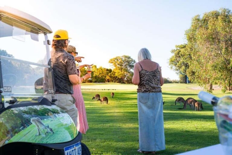 Swan Valley: Golf Cart Kangaroo Safari w/ Mini Golf & Drink - What You Can Expect from the Itinerary