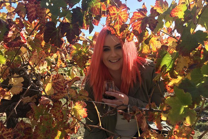 Swan Valley Winery Experience - Full Day Coach Tour - Food, Cheese, and Chocolate