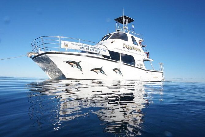 Swim With Wild Dolphins in Tauranga - The Itinerary — What You Can Expect