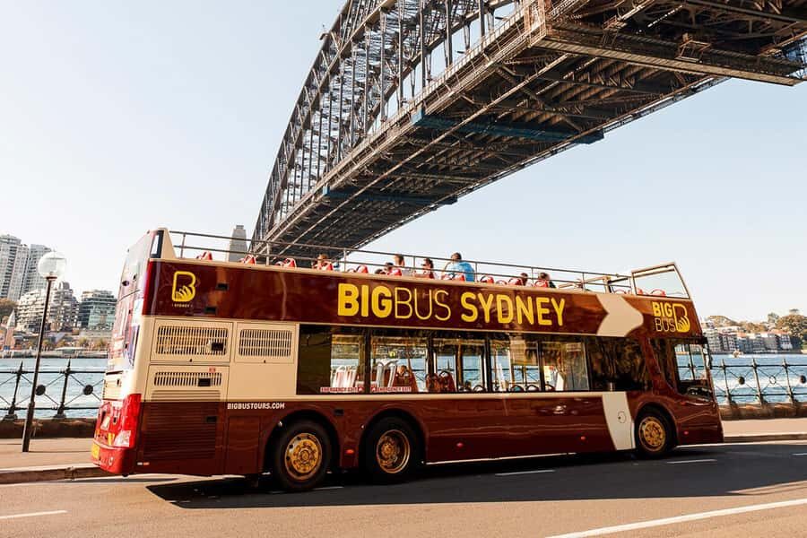 Sydney: Big Bus Hop-On Hop-Off Tour with Optional Cruise - Ticket Choice: 24 vs 48 Hours (and How to Use It Without Stress)