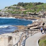Sydney City Highlights & Hidden Gems: Private or Small Group Tour - The Itinerary: What You’ll See and Do