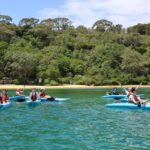 Sydney: Guided Kayak Tour of Manly Cove Beaches - The Practical Side: What You Need to Know