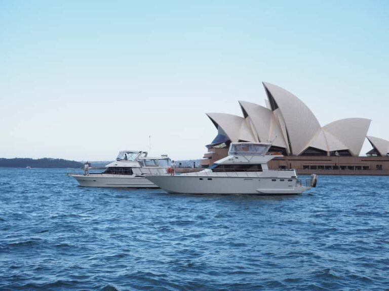 Sydney Harbour: 2-Hour Morning Yacht Cruise with Morning Tea - The Value of This Experience