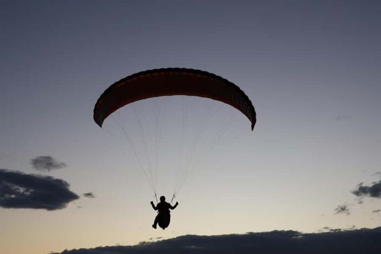 Sydney: Royal National Park private day tour - Practical Details and What to Expect