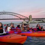 Sydney: Sunset Kayak Tour on Sydney Harbour - What to Expect on the Day