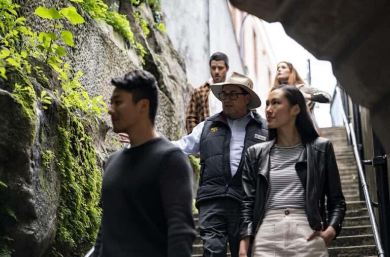 Sydney: The Rocks 90-Minute History Walking Tour - Price and Value