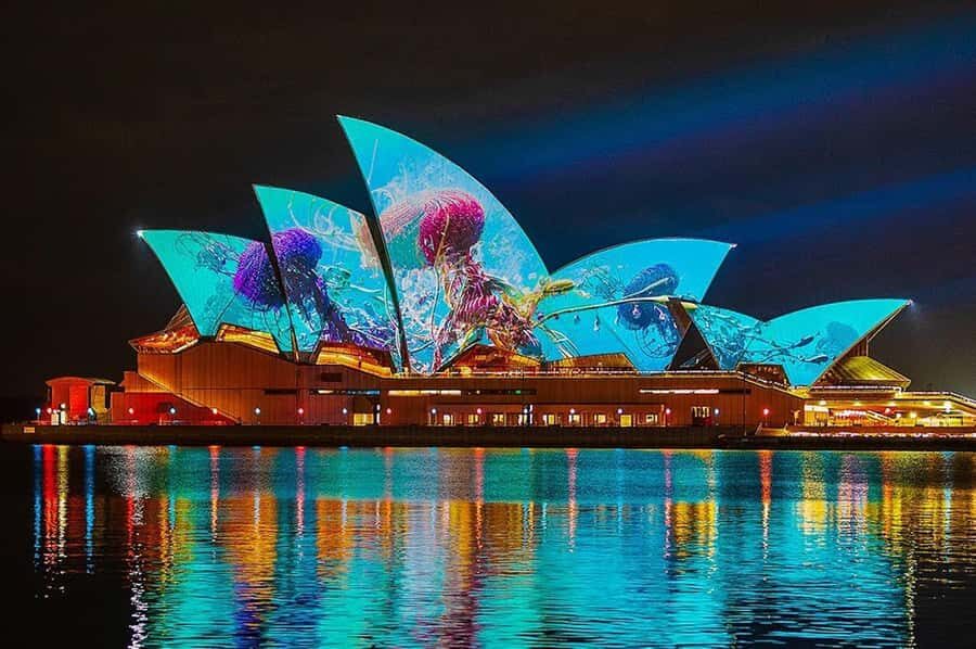 Sydney: Vivid Harbour Cruise with Canapes - Price and Value — Is It Worth It?