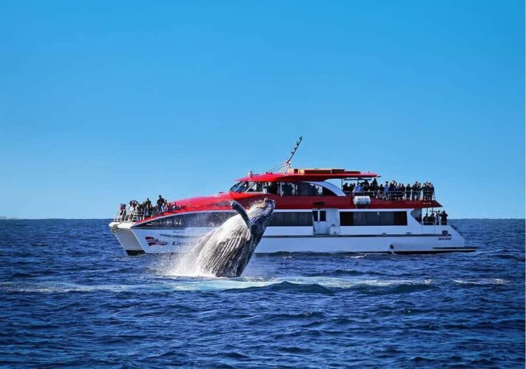 Sydney: Whale Watching & Wildlife Cruise - The Itinerary: What Makes It Special