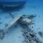 Tahiti island: 4 hours Snorkeling Tour - The Journey: A Closer Look at the Itinerary