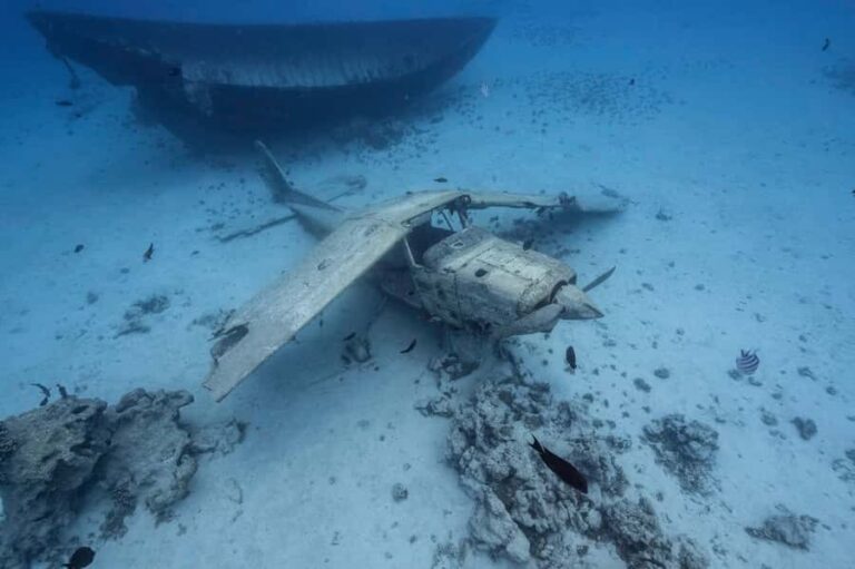 Tahiti island: 4 hours Snorkeling Tour - The Journey: A Closer Look at the Itinerary