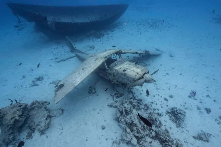 Tahiti island: 4 hours Snorkeling Tour - The Journey: A Closer Look at the Itinerary