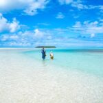 Tahiti Lagoon: 4-hour snorkeling to discover the secrets of the lagoon - The Experience in Detail