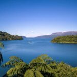Tarawera and Lakes 2-Hour Duck Eco Tour - The Experience in Practice: What You’ll Love