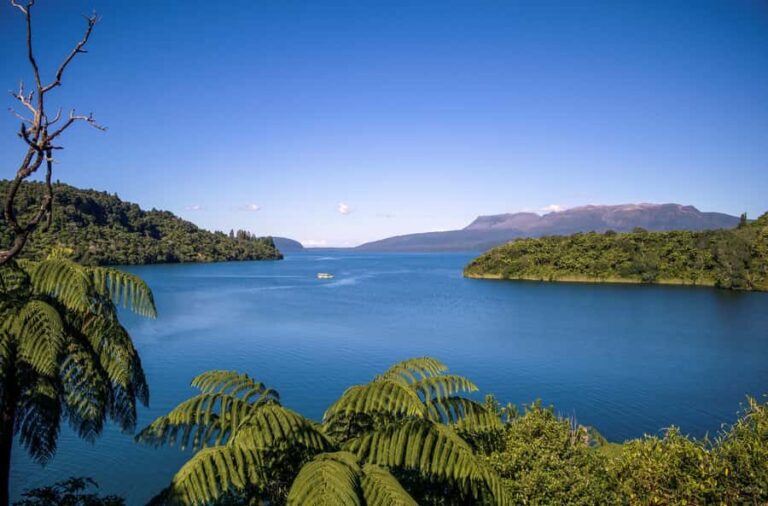 Tarawera and Lakes 2-Hour Duck Eco Tour - The Experience in Practice: What You’ll Love