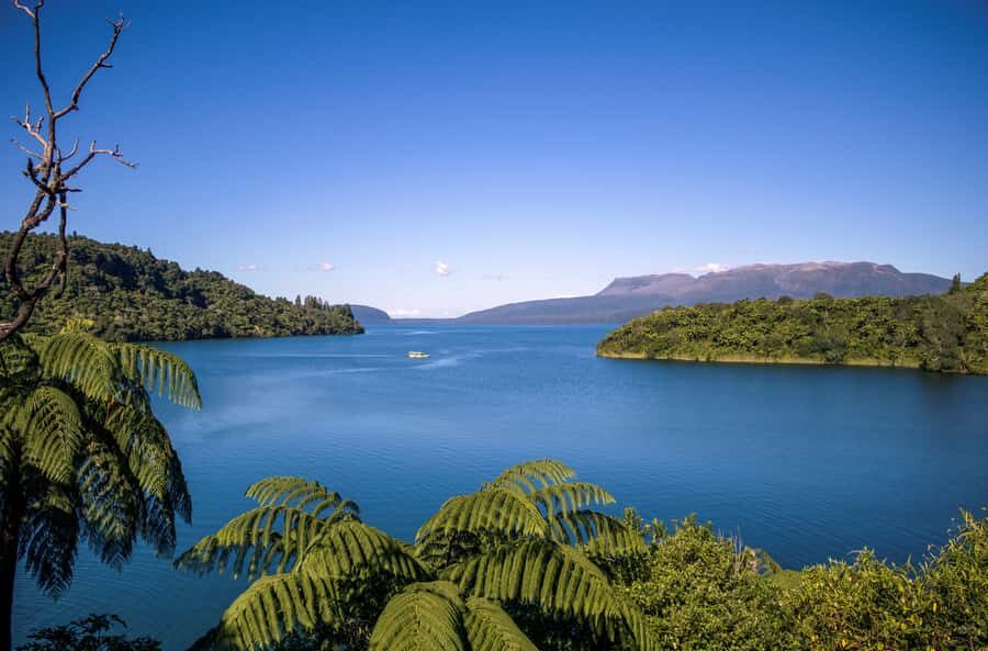 Tarawera and Lakes 2-Hour Duck Eco Tour - The Experience in Practice: What You’ll Love