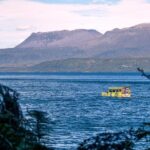 Tarawera and Rotorua Lakes Eco Tour by Boat with Guide - What to Expect on the Water and Land