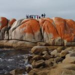 Tasmania: Wilderness and Wildlife Guided 6-Day Tour - The Experience: What You’ll Get and Why It Matters