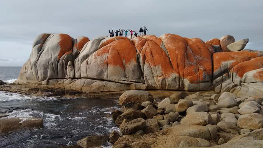 Tasmania: Wilderness and Wildlife Guided 6-Day Tour - The Experience: What You’ll Get and Why It Matters