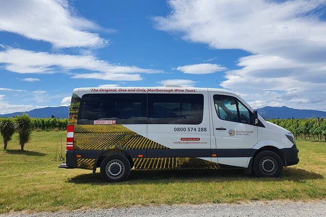 Taste the Valley Wine Tour in Marlborough with Wine Tasting - Authentic Feedback from Past Travelers
