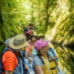 Tauranga Daytime Scenic Lake McLaren Tour - Who Will Love This Tour?