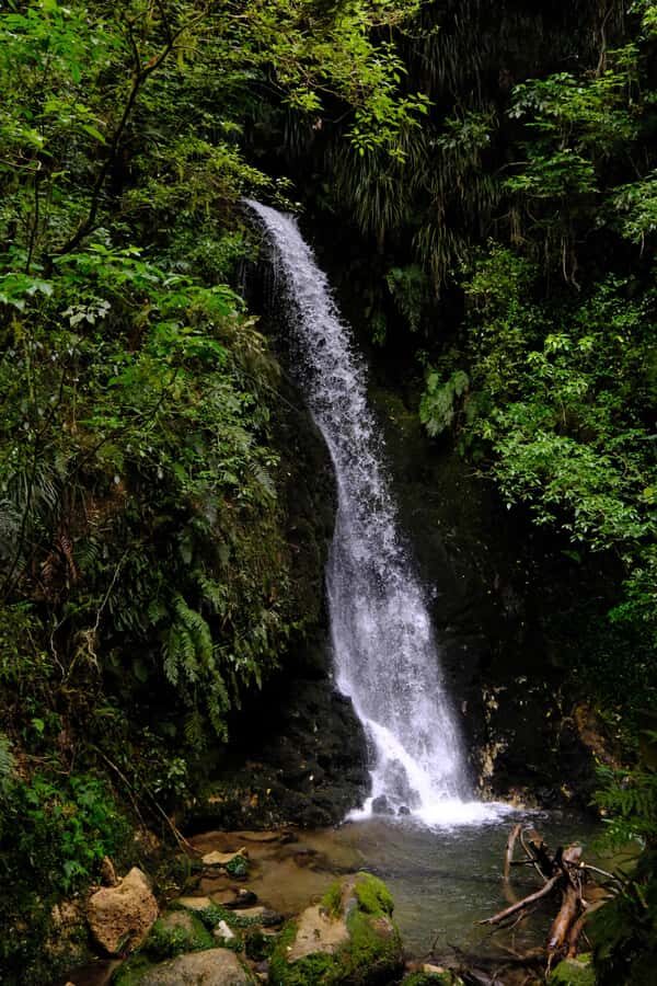 Tauranga: Kiwifruit Destination and Sights Shore Excursion - What Makes This Tour Stand Out?