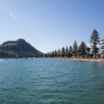 Tauranga Shore Excursion: History & Kiwifruit Tasting  4 Hours - In-Depth Look at the Itinerary
