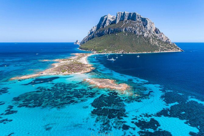 Tavolara Boat Tour and Snorkeling - Meeting point in Olbia: where to show up and how not to waste time