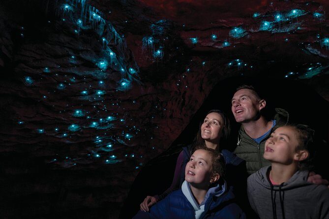Te Anau Glow Worm Caves Tour - The Itinerary: What to Expect from Start to Finish