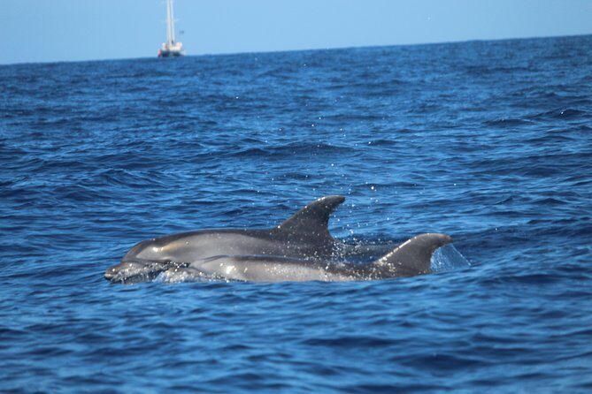 Tenerife : Jet Ski Tour with option for Quad Trip - The route: Yellow Mountain, Red Mountain, and why weather changes things
