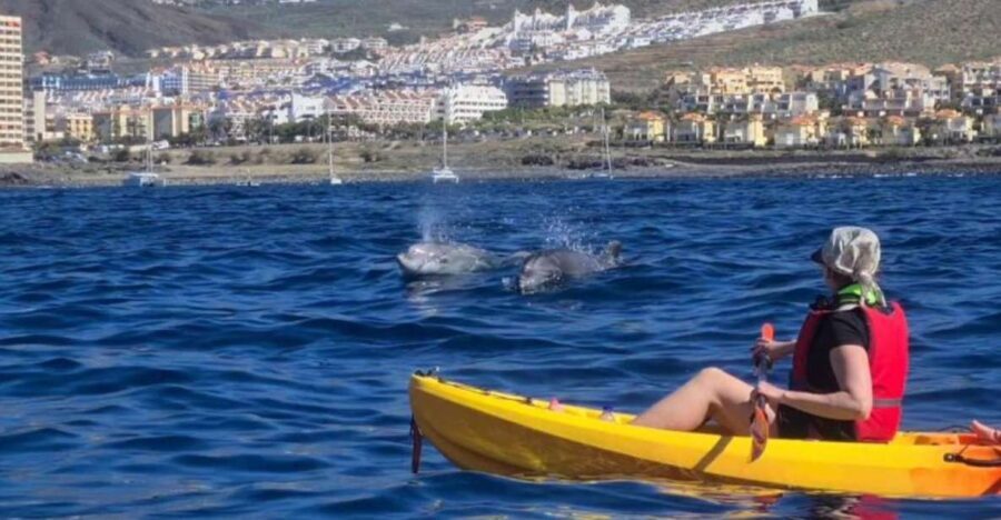 Tenerife: Kayak Safari and Snorkel in a Marine Reserve - Safety Briefing and What’s Actually Included (Gear Matters)