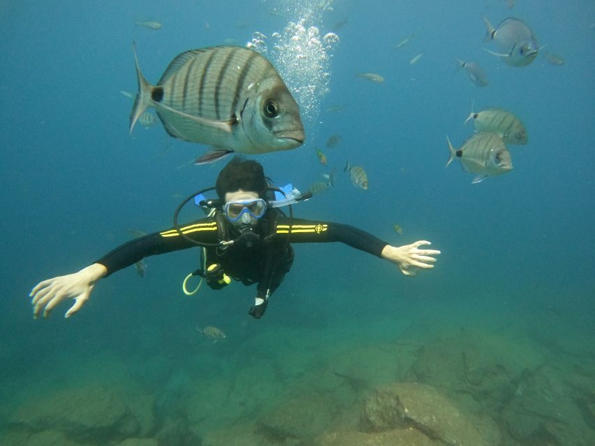 Tenerife: Your First Scuba Diving Experience in Turtle Area - The 30 Minutes of Safety Briefing That Actually Helps