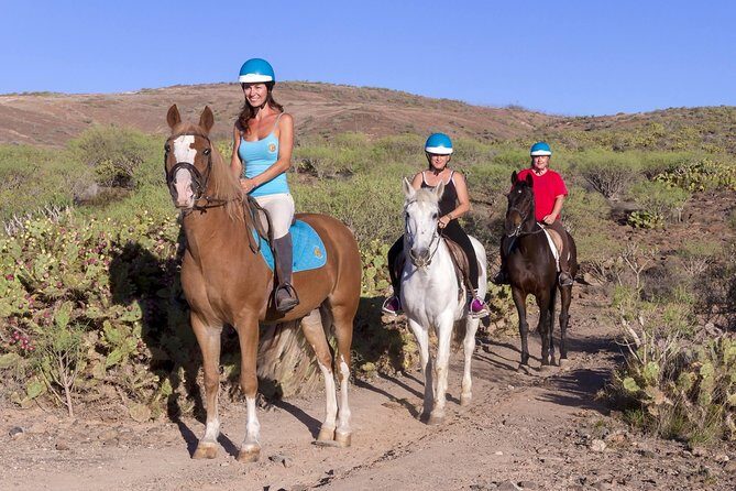 The Best Horse Riding Experience in Gran Canaria (2 hours) - Where You Meet: El Salobre Horse Riding (Simple Start)