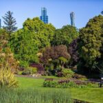 The Explorer - Melbourne Gardens - Who is This Tour Perfect For?