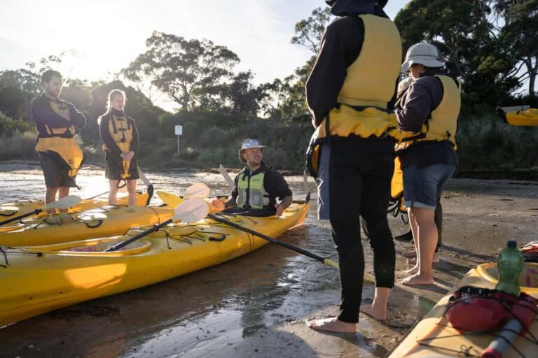 The Freycinet Paddle Kayak Tour - Why This Tour Is a Great Choice
