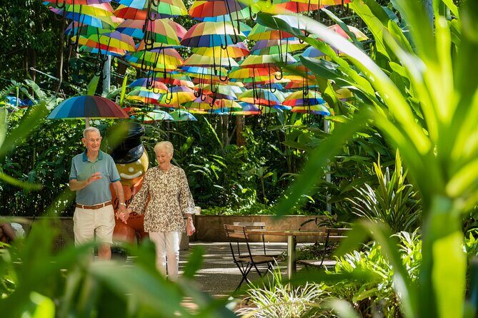 The Ginger Factory Play, Taste & Discover Bundle Experience - How Does the Price Stack Up?