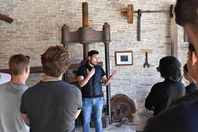 The Governor's Olive Mill Tour with Olive Oil Tasting - “Tradition plus technology” at a modern facility