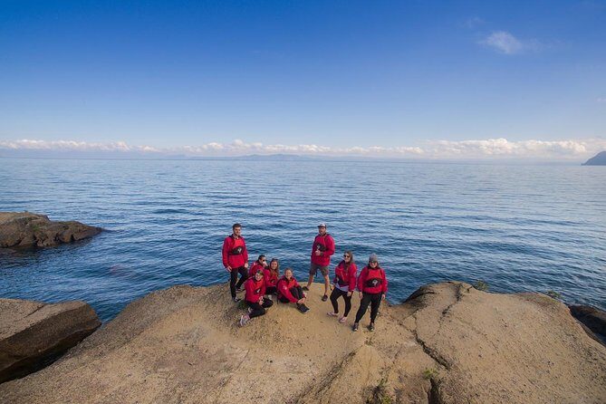 The Maori Carvings Half Day Kayak - Paddling and Sightseeing