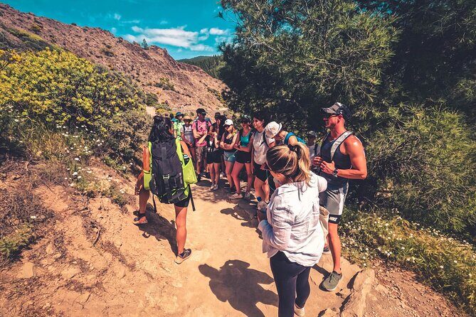 The Volcano Heart Tour: Hiking, Tasting and Sunset Experience - What Reviewers Actually Loved Most