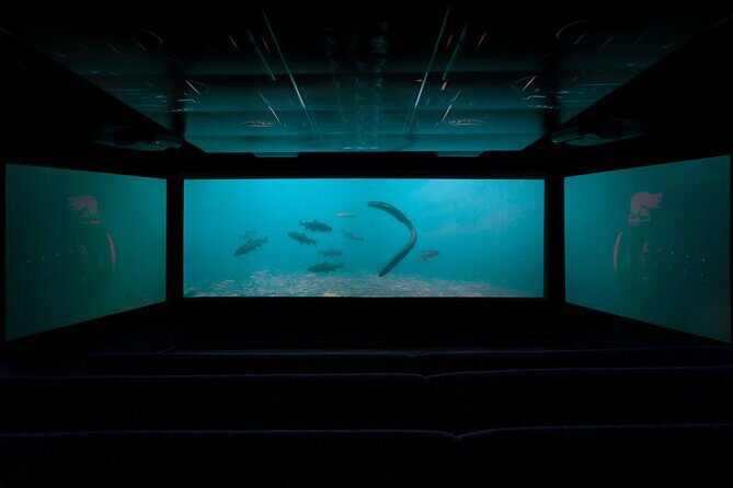 Time Tripper Queenstown - What the Tour Includes