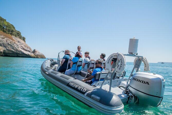 Torquay Coastal RIB Seafari - What’s included, and what you should bring