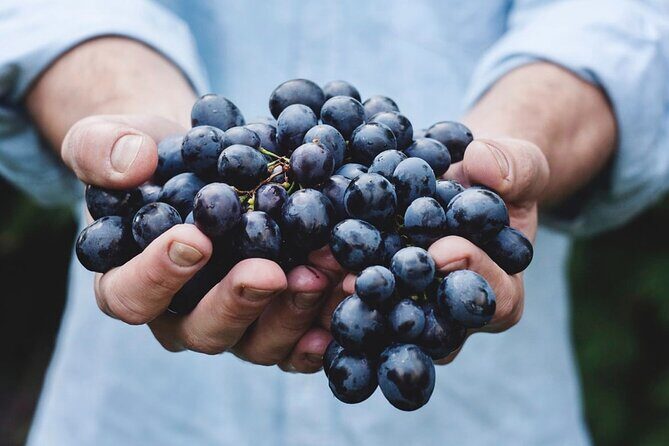 Tour Etna & Wine Tasting - Small Group Etna: why max 8 travelers feels like a better plan