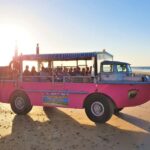 Town 1770: Afternoon Coastline Tour - The Experience: What Makes It Special