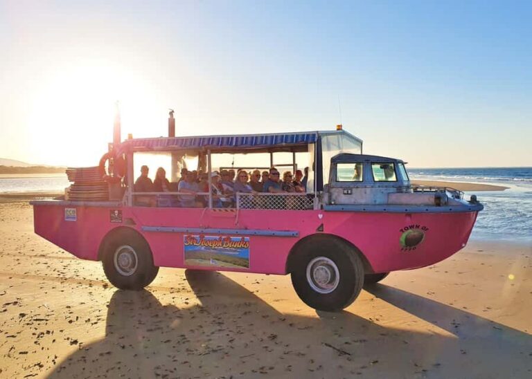 Town 1770: Afternoon Coastline Tour - The Experience: What Makes It Special