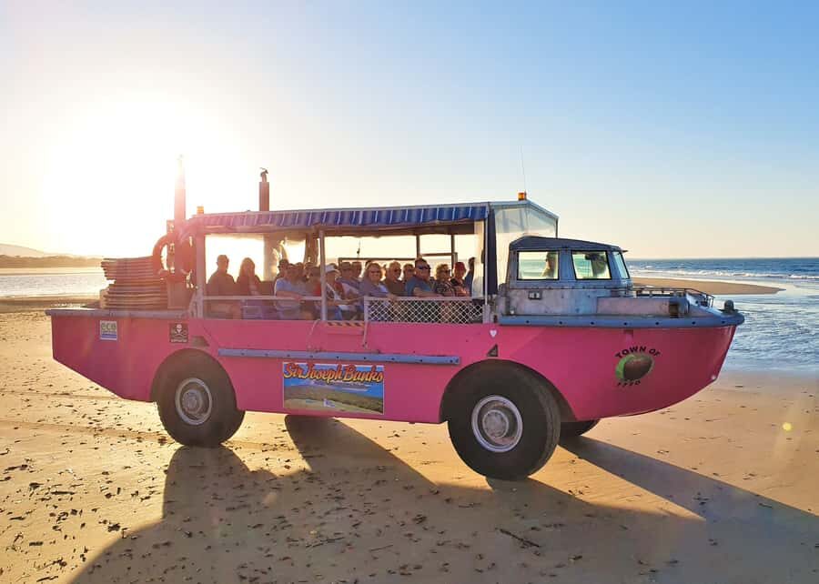 Town 1770: Afternoon Coastline Tour - The Experience: What Makes It Special