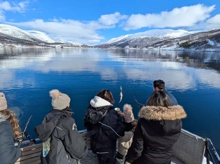 Tromsø: Arctic Fjord Cruise & Fishing Experience - Getting to Polar Adventures: your 15-minute head start matters