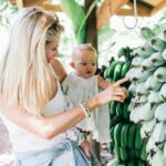 Tropical Fruit World Farm Full Tour - Authentic Traveler Opinions