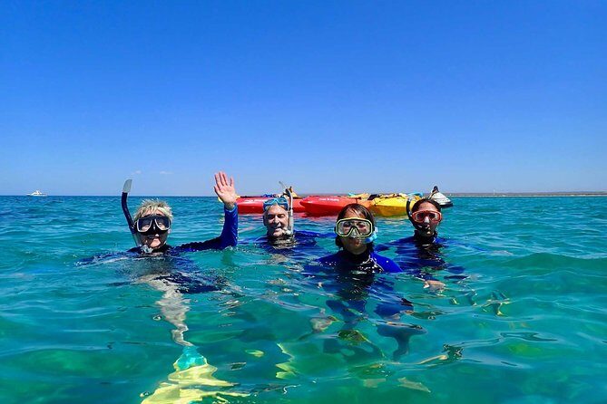 Turtle Tour - Ningaloo Reef Half Day Sea Kayak and Snorkel Tour - The Itinerary in Detail
