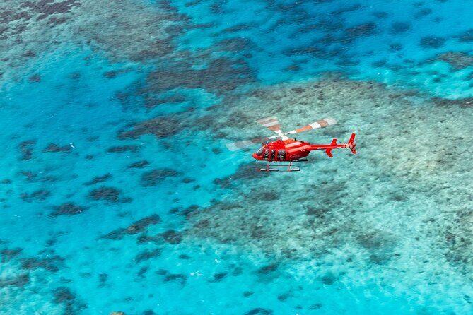 Ultimate Great Barrier Reef and Rainforest 45-minute Helicopter Tour - Final Thoughts: Is It Worth It?
