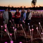 Uluru (Ayers Rock) Field of Light Sunrise Tour - The Itinerary Breakdown