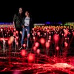 Uluru: Field of Light Sunrise Tour with Hot Drinks - Final Thoughts: Is It Worth It?